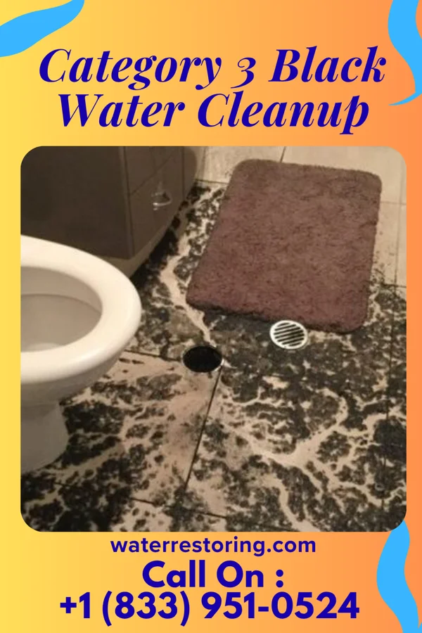 Category 3 Black Water Cleanup in Rockville, CT